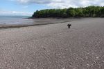 PICTURES/Chignecto Park and  Big Dip Park/t_Big Dip Beach3.JPG